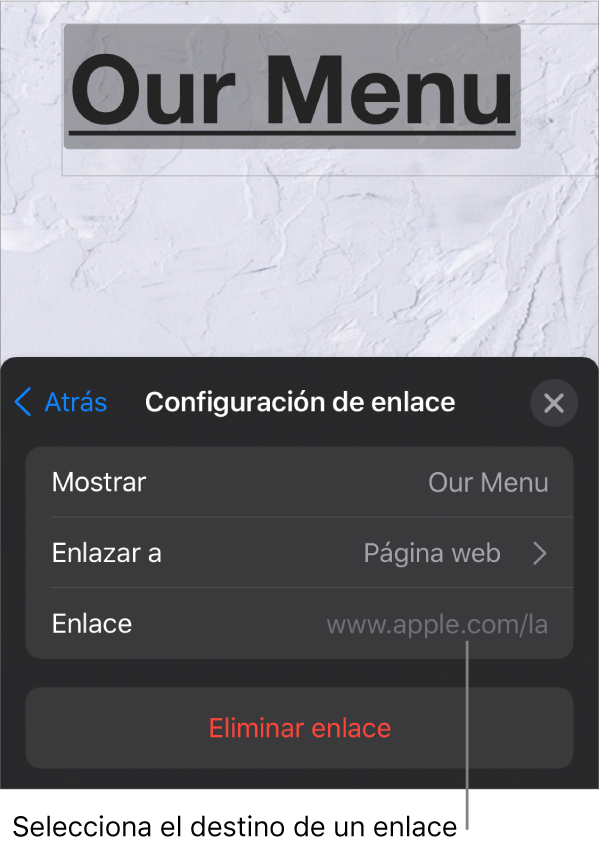 Los controles de “Configuración de enlace” con los campos Mostrar, Enlazar a (“Página web” está seleccionado) y Enlace. En la parte inferior está la opción “Eliminar enlace”.