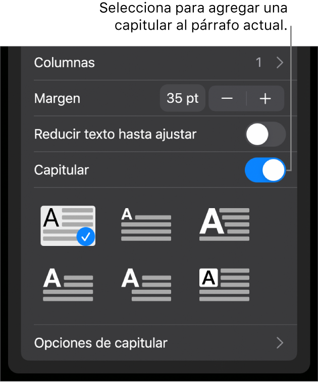 Controles “Letra capitular” ubicados al final del menú Texto.