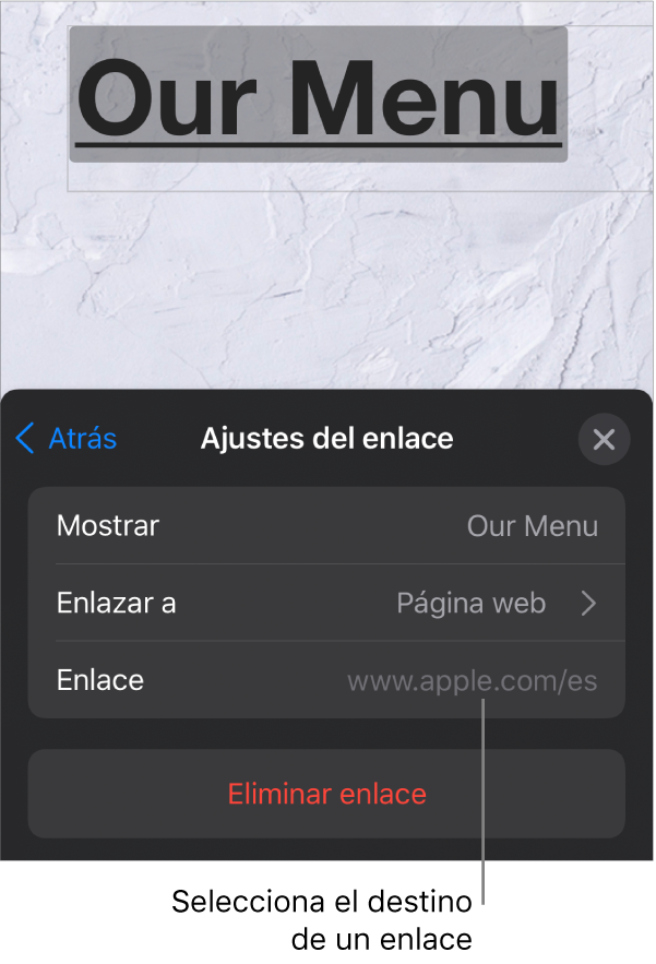 Los controles de “Ajustes de enlace” con un campo Mostrar, “Enlazar a” (ajustado a “Página web”) y Enlace. El botón “Eliminar enlace” aparece en la parte inferior.