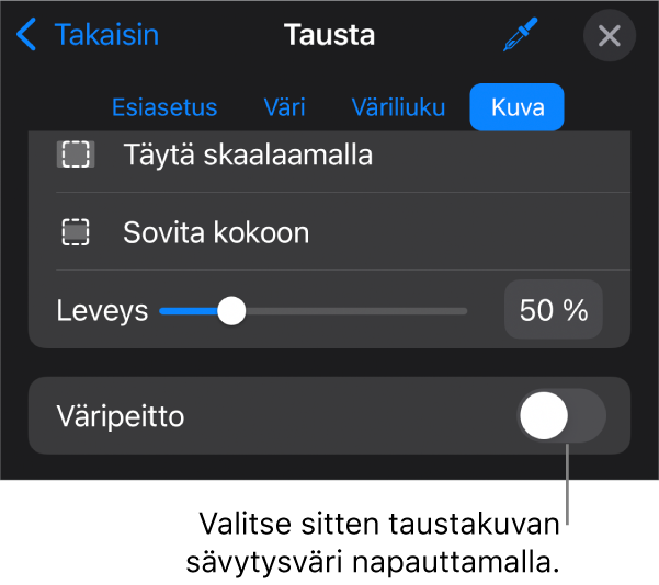 Tausta-säätimet, joissa kuva on asetettu dian taustaksi, ja Värin täyttö -säädin näkyy alareunassa.