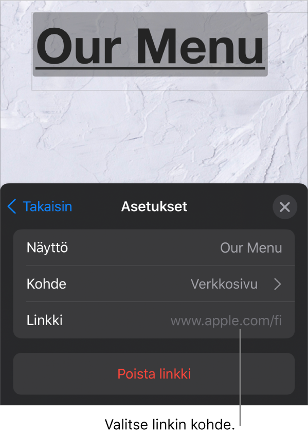 Linkkiasetukset-säätimet, joissa on Näytä-, Linkitys- (valittuna Verkkosivu) ja Linkki-kentät. Poista linkki -painike on alaosassa.
