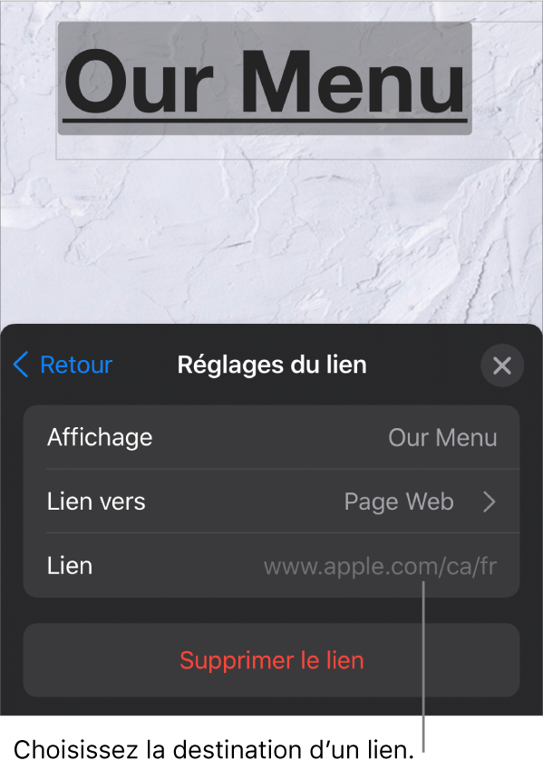Les commandes Réglages du lien avec les champs Affichage, Lien vers (destination : Page Web) et Lien. Le bouton Supprimer le lien se trouve au bas.