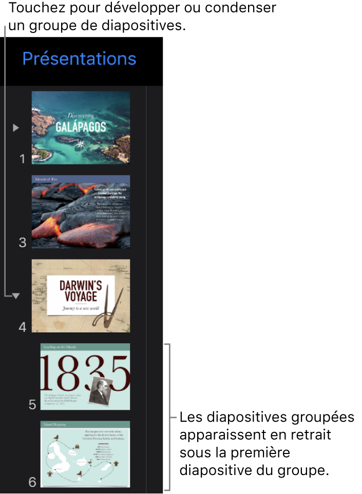 Navigateur de diapositives affichant des diapositives en retrait.