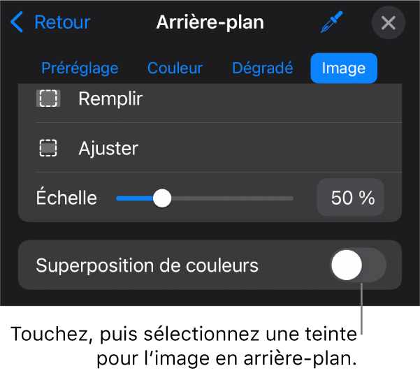 Les commandes Arrière-plan avec une image réglée comme arrière-plan des diapositives et la commande Superposition de couleurs au bas.