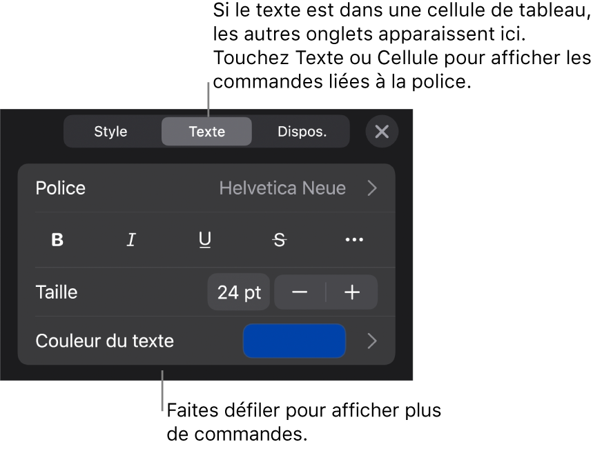 Commandes de texte du menu de format permettant de définir les styles, la police, la taille et la couleur des paragraphes et des caractères.
