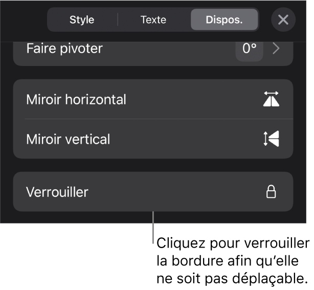 Les commandes Disposition dans le menu Format avec le bouton Verrouiller en évidence.