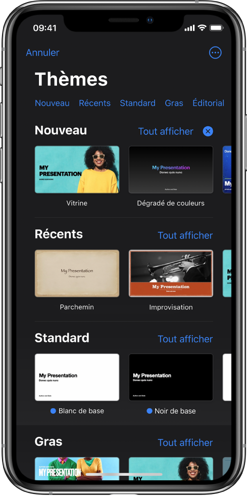 Le sélecteur de thèmes affiche en haut une rangée de catégories que vous pouvez toucher pour filtrer les options. Le bouton Plus se situe dans le coin supérieur droit et vous permet de définir le format Standard ou Étendue et de définir une mise en forme pour une langue ou une région particulière. En dessous se trouvent des vignettes de thèmes prédéfinis disposées en rangées par catégorie. Un bouton « Voir tout » apparaît au-dessus et à droite de la ligne de chacune des catégories.