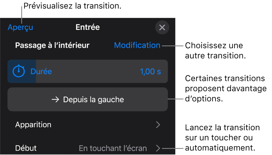 Commandes de la sous-fenêtre Options permettant de modifier une transition.
