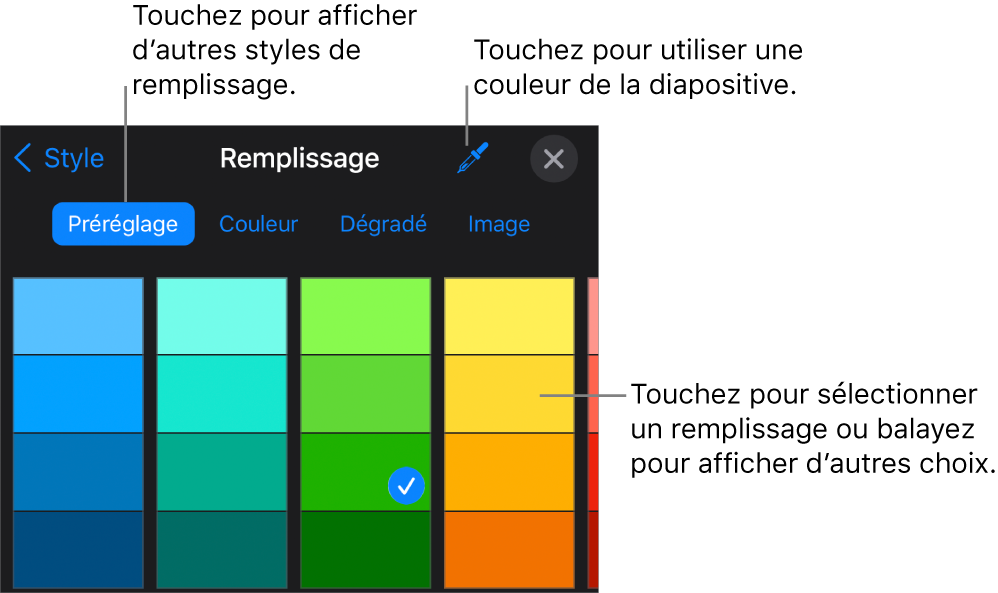 Options de remplissage dans l’onglet Style.