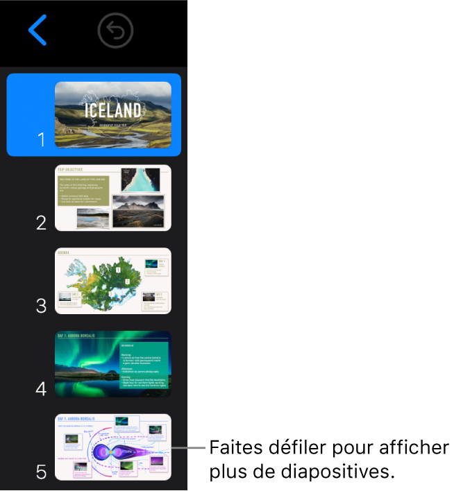 Le navigateur de diapositives.
