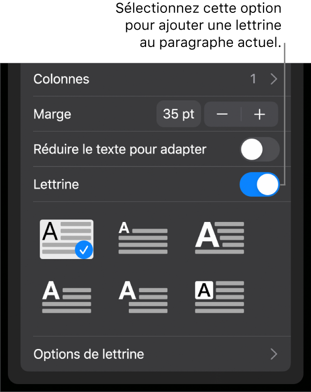Les commandes Lettrine situées en bas du menu Texte.