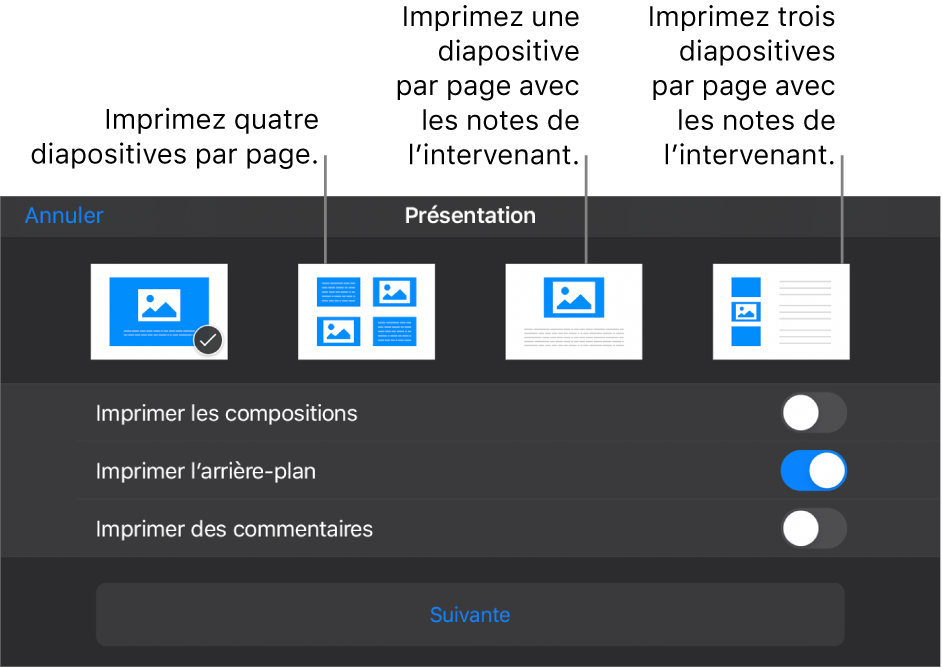 Options de disposition d’impression.