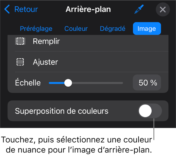 Les commandes Arrière-plan avec une image définie comme arrière-plan de la diapositive et la commande Superposition de couleurs en bas.