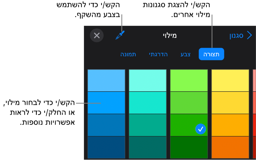 אפשרויות מילוי בכרטיסיה ״סגנון״.
