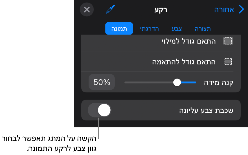 כלי הבקרה של ״רקע״, עם תמונה שמוגדרת כרקע של השקף. בחלק התחתון נמצא כלי הבקרה ״כיסוי בצבע״.