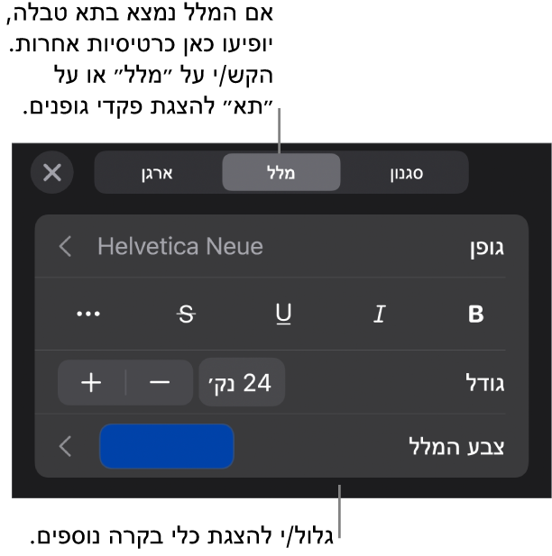 כלי בקרה של מלל בתפריט ״עיצוב״ להגדרת סגנונות, גופן, גודל וצבע עבור פיסקאות ותווים.