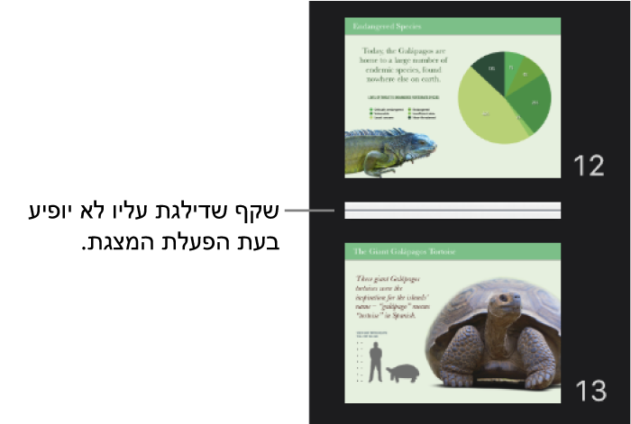 נווט השקפים עם שקף שדילגת עליו מוצג כקו אופקי.