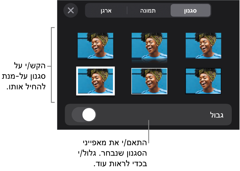 הכרטיסייה ״סגנון״ בתפריט ״עיצוב״ עם סגנונות אובייקטים בחלק העליון ומתחת להם כלי בקרה לשינוי הגבול.