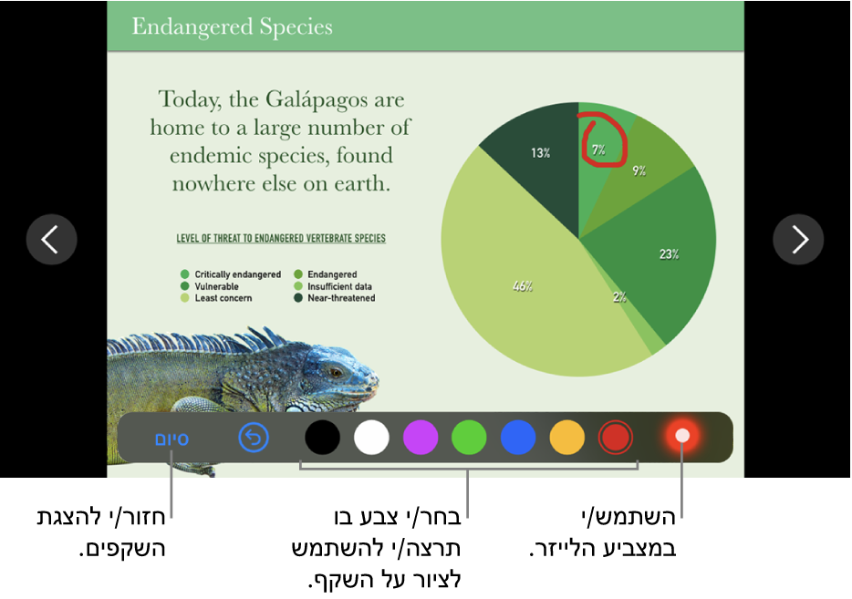 שקף במצב ציור על שקף המראה את מצביע הלייזר וכלי בקרה לבחירת צבעים.