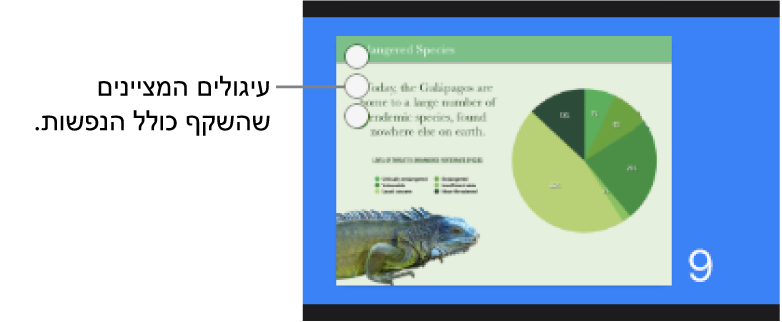 שקף עם שלושה עיגולים בפינה הימנית העליונה המציינים שהשקף כולל הנפשות.