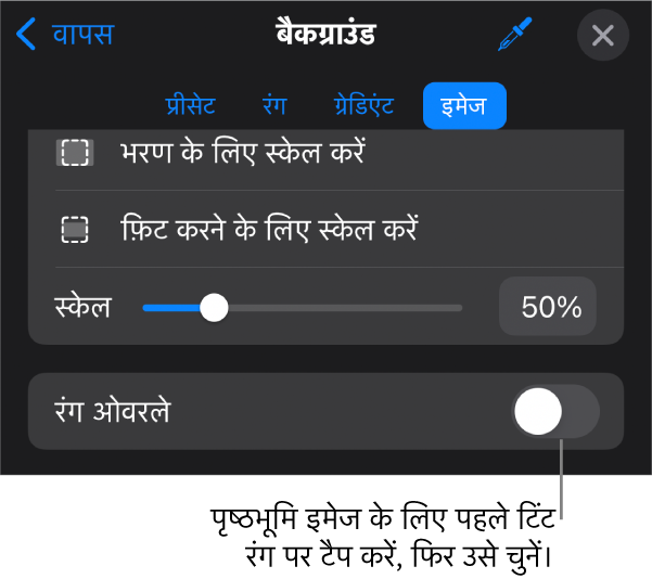 बैकग्राउंड नियंत्रण, जिनके सबसे निचले भाग में इमेज को स्लाइड बैकग्राउंड और रंग ओवरले नियंत्रण के रूप में सेट किया गया है।