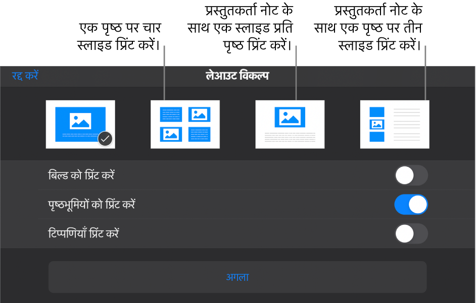 प्रिंट लेआउट विकल्प।