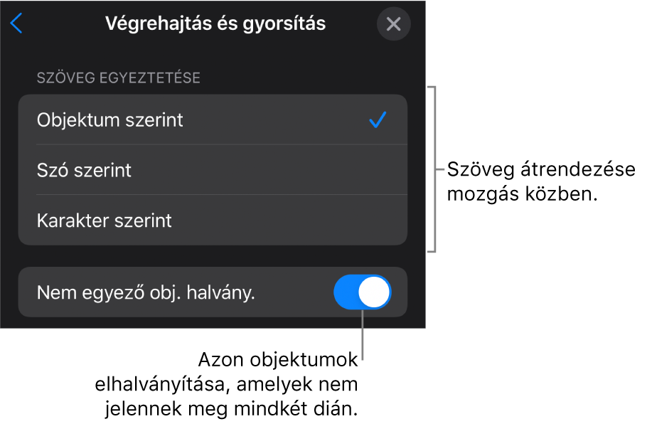 A Varázsmozgás végrehajtás és gyorsítás beállításai a Gyorsítás panelen