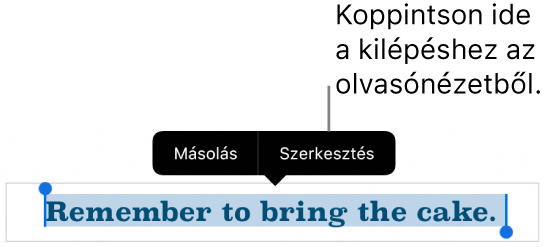Egy kijelölt mondat, amely fölött a Másolás és Szerkesztés gombokat tartalmazó Helyi menü látható.