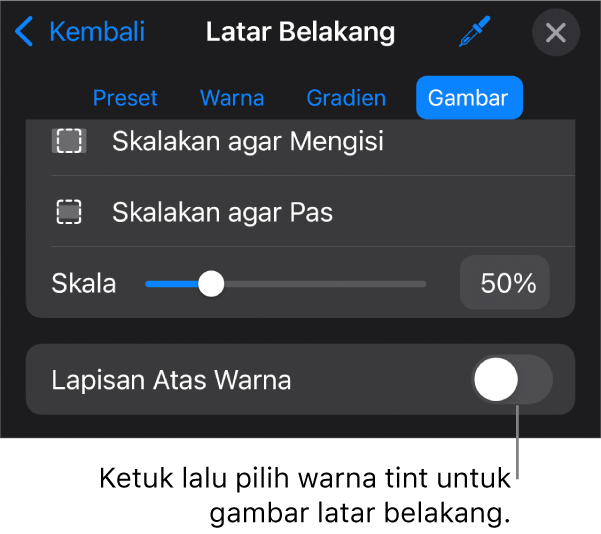 Kontrol Latar Belakang dengan gambar diatur sebagai latar belakang slide dan kontrol Lapisan Atas Warna di bagian bawah.