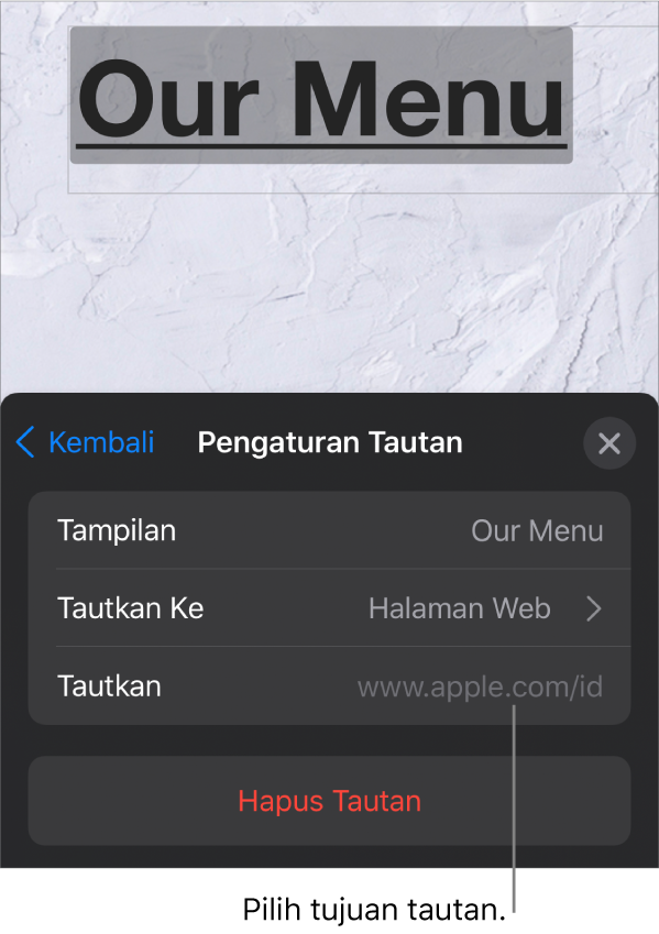 Kontrol Pengaturan Tautan dengan bidang untuk Tampilkan, Tautkan Ke (Halaman Web dipilih), dan Tautkan. Tombol Hapus Tautan di bagian bawah.