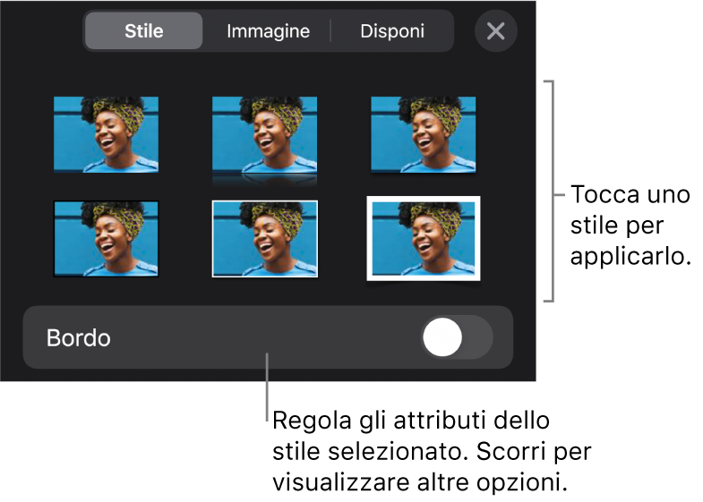 Pannello Stile del menu Formato con gli stili dell’oggetto in alto e un controllo sottostante per cambiare il bordo.