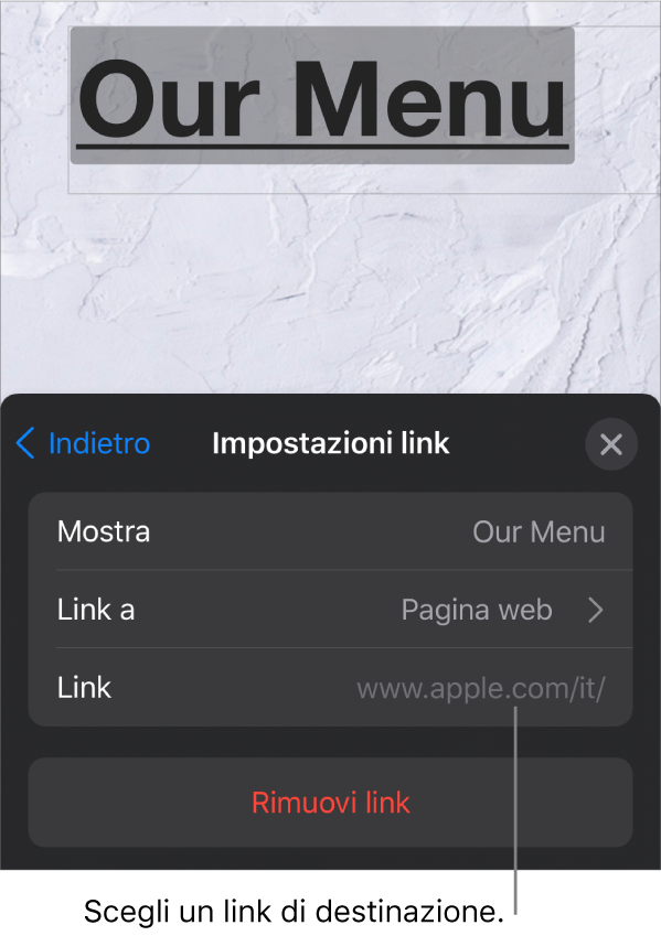 I controlli “Impostazioni link” con i campi Mostra, “Link a” (con “Pagina web” selezionato) e Link. Nella parte inferiore è presente il pulsante “Rimuovi link”.
