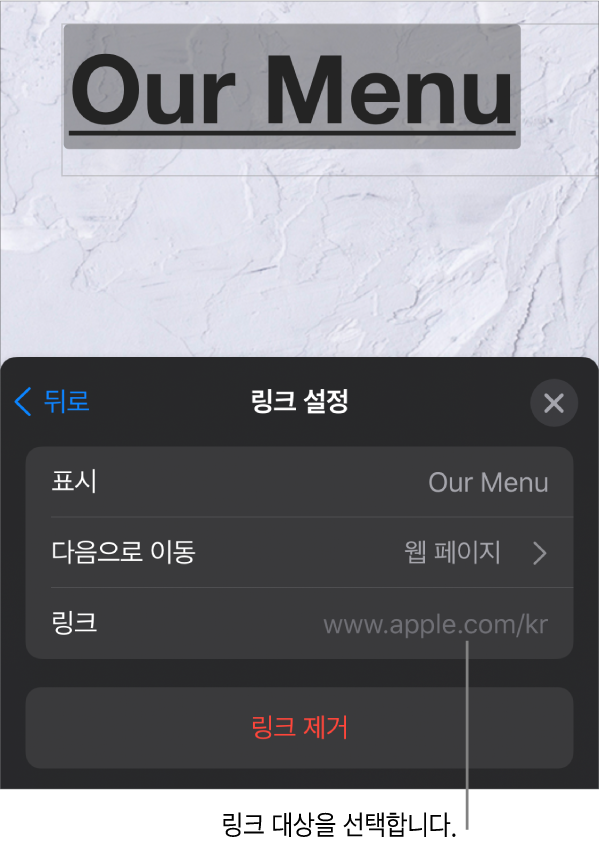 디스플레이 필드, 다음으로 연결(웹 페이지가 선택됨) 및 링크가 있는 링크 설정 제어기. 하단에 링크 제거 버튼이 있습니다.