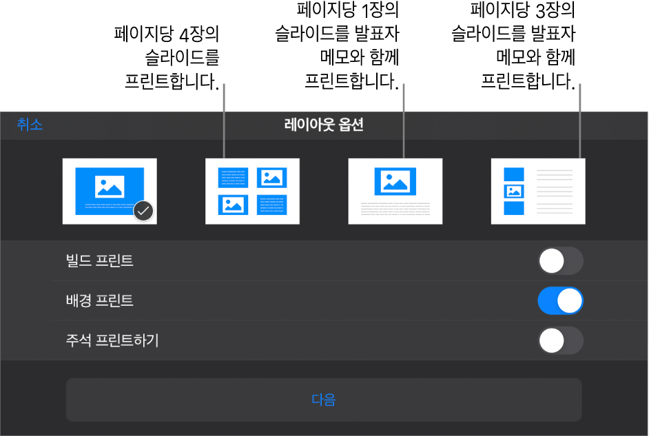 프린트 레이아웃 옵션.