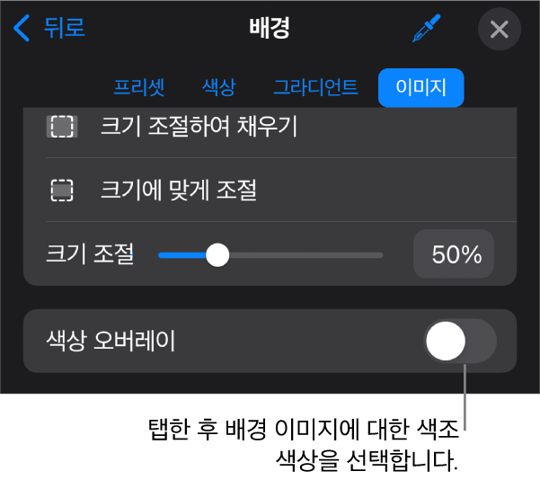 이미지가 슬라이드 배경으로 설정되고 하단에 색상 오버레이 제어기가 있는 배경 제어기.