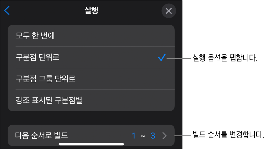 빌드인 패널에 실행 옵션.