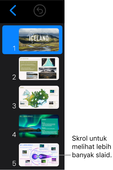 Penavigasi slaid.