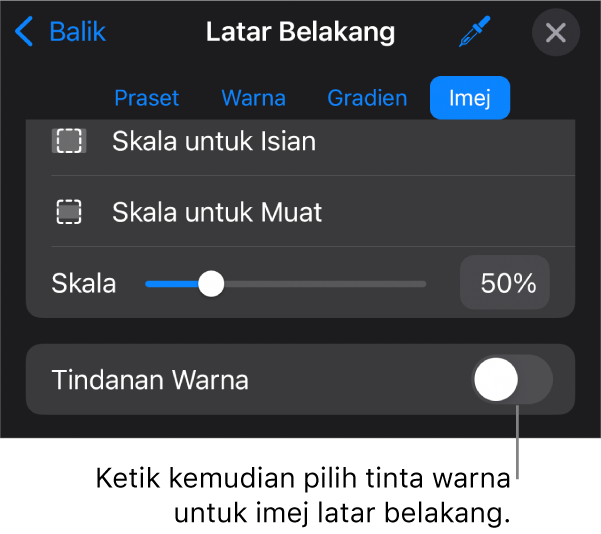 Kawalan Latar Belakang dengan imej disetkan sebagai latar belakang slaid dan kawalan Tindihan Warna di bahagian bawah.