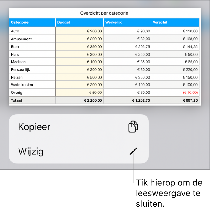 Er is een tabel geselecteerd en eronder staat een menu met de knoppen 'Kopieer' en 'Wijzig'.