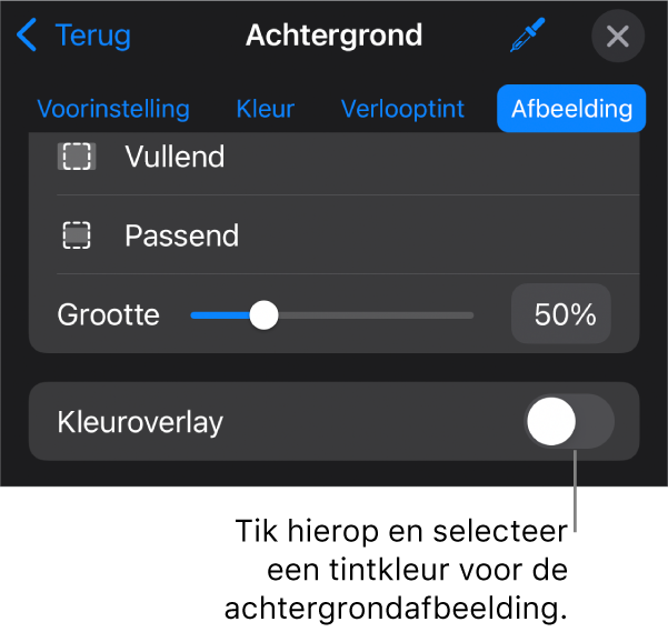 De achtergrondregelaars; als dia-achtergrond is een afbeelding ingesteld en onderaan staat de regelaar 'Kleuroverlay'.