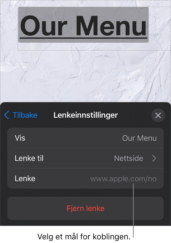 Lenkeinnstillinger-kontrollene med felter for Visning, Lenke til (stilt til Nettside) og Lenke. Fjern Lenke-knappen er nederst.