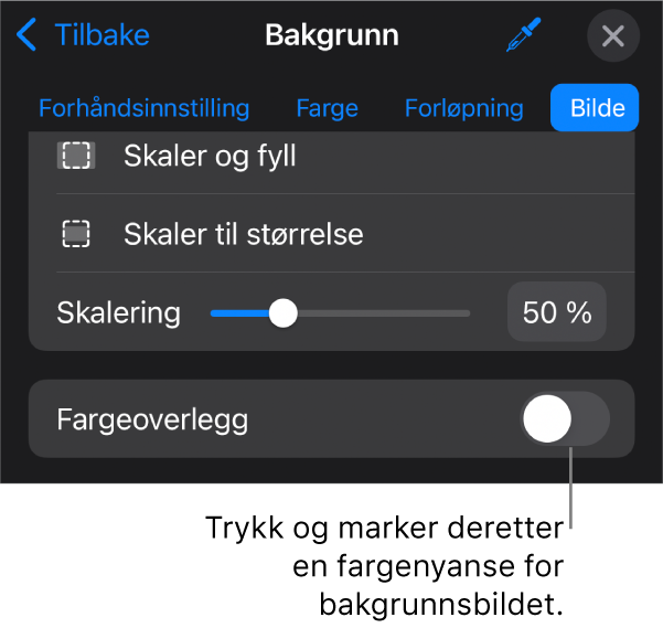 Bakgrunn-kontroller med et bilde angitt som lysbildebakgrunn og Fargeoverlegg-kontrollen nederst.