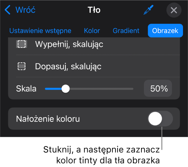 Narzędzia tła z obrazkiem ustawionym jako tło slajdu oraz na dole narzędzie Nałożenie koloru.