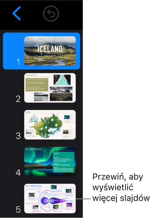 Nawigator slajdów.
