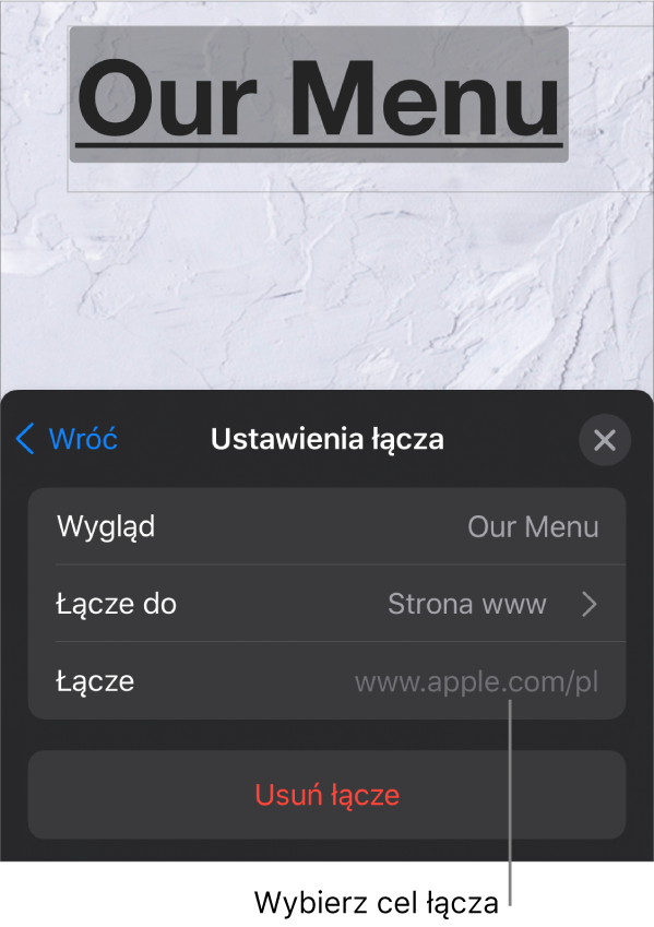 Narzędzia Ustawienia łącza, zawierające następujące pola: Wygląd, Łącze do (wybrana jest pozycja Witryna) oraz Łącze. Na dole widoczny jest przycisk Usuń łącze.