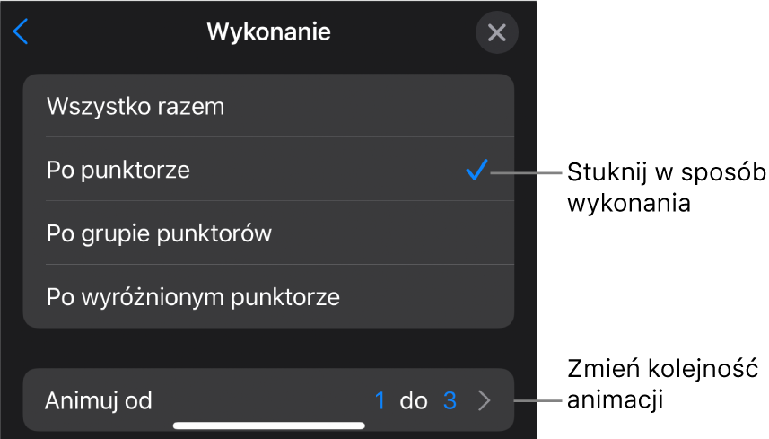 Opcje wykonania w panelu Wejście.