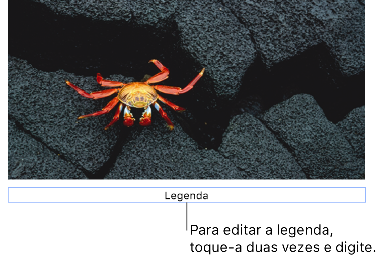 O marcador de posição de legenda, “Legenda”, aparece abaixo de uma foto. Um contorno azul ao redor do campo de legenda mostra que ele está selecionado.