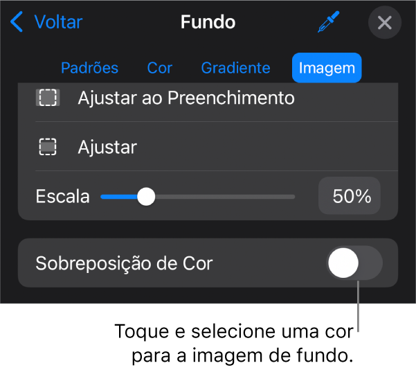 Controles de Fundo com uma imagem definida como fundo do slide e o controle “Sobreposição de Cor” na parte inferior.