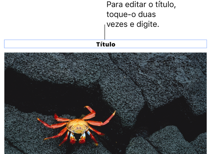 O marcador de posição de título, “Título”, aparece abaixo de uma foto. Um contorno azul ao redor do campo de título mostra que ele está selecionado.