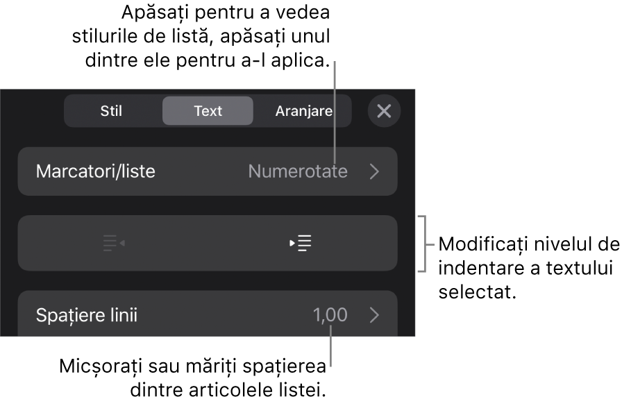 Secțiunea Marcatori/liste din comenzile Format cu explicații pentru Marcatori/liste, butoanele de indentare și indentare exterioară, precum și comenzile pentru spațierea liniilor.